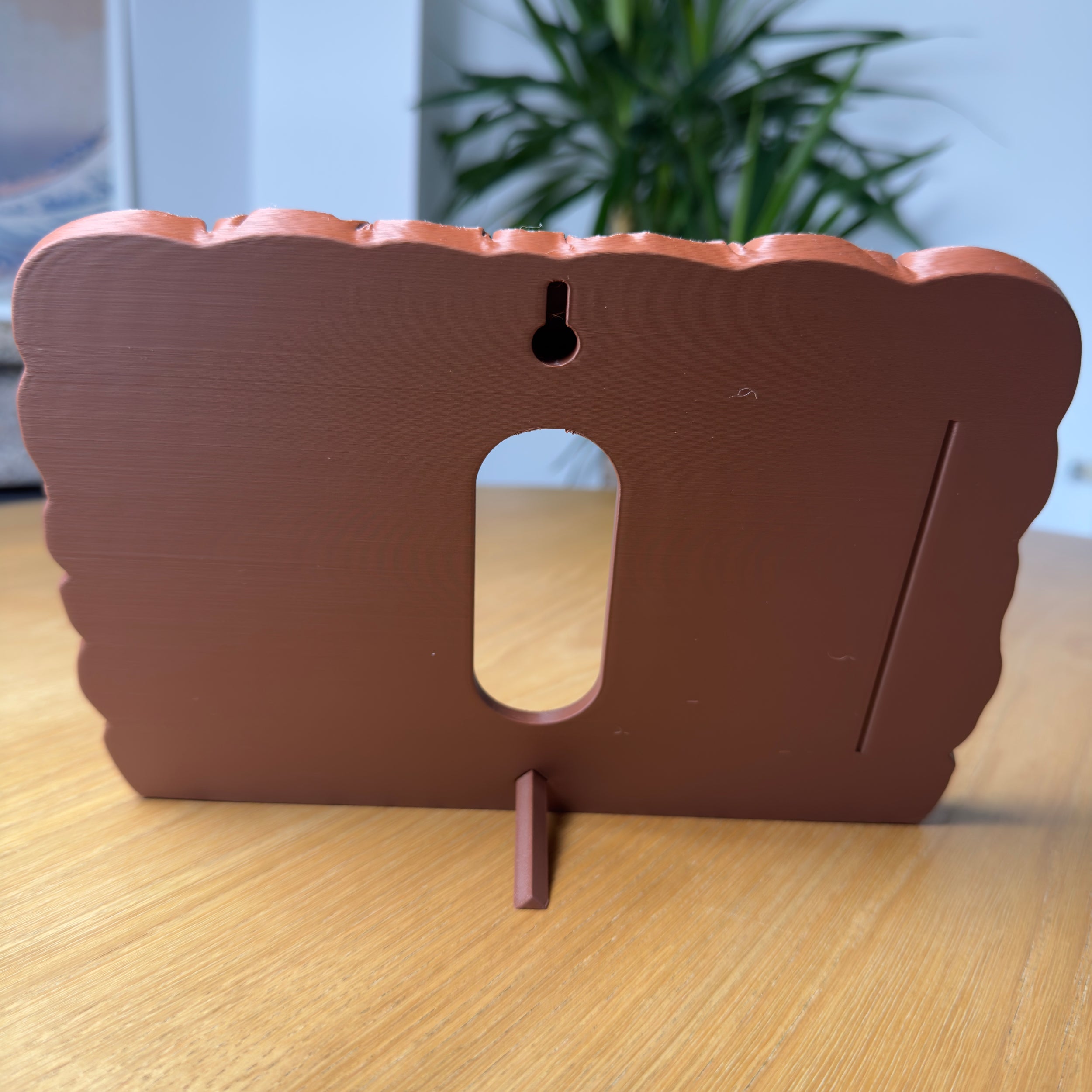 Velisse Picture Frame